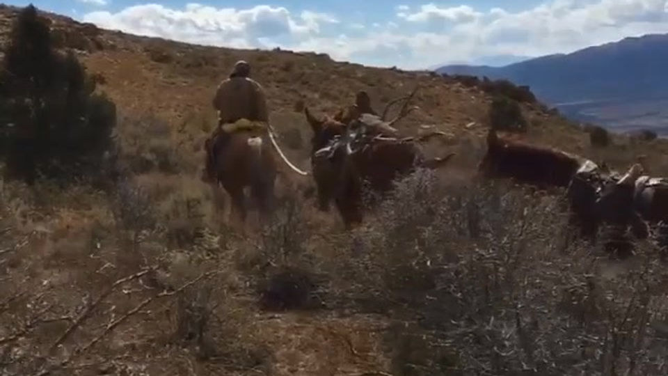 Packing Out an Elk
